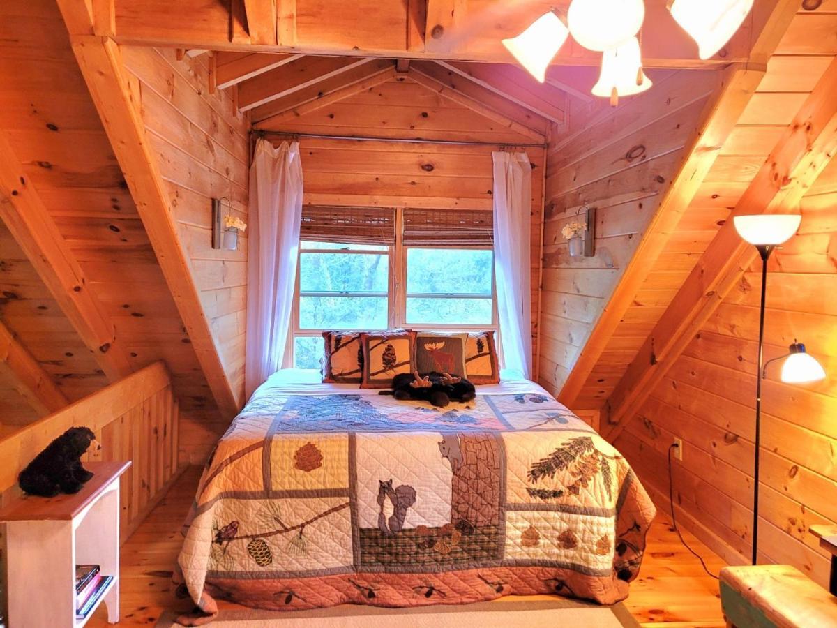 Luxury Cabin With Waterview And Privacy, Hiking Blue Ridge Exterior photo